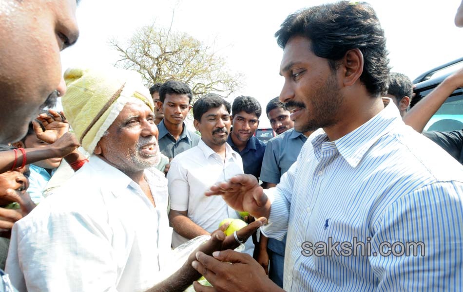 Jagan s Janapatham at Cuddapah District - Sakshi3