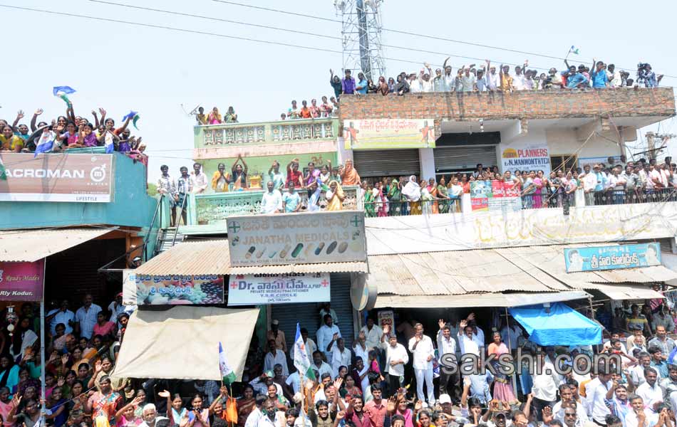 Jagan s Janapatham at Nellore District - Sakshi10