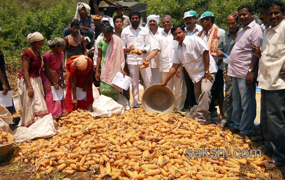 candidates of seemandhra participating with people works during election Campaign - Sakshi4