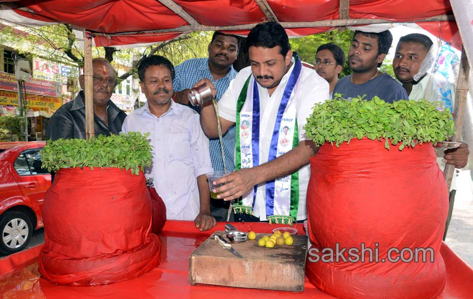 political leaders election campaign in seemandhra - Sakshi11