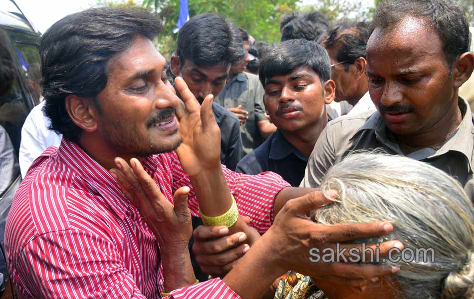 YSRCP election campaign - Sakshi1