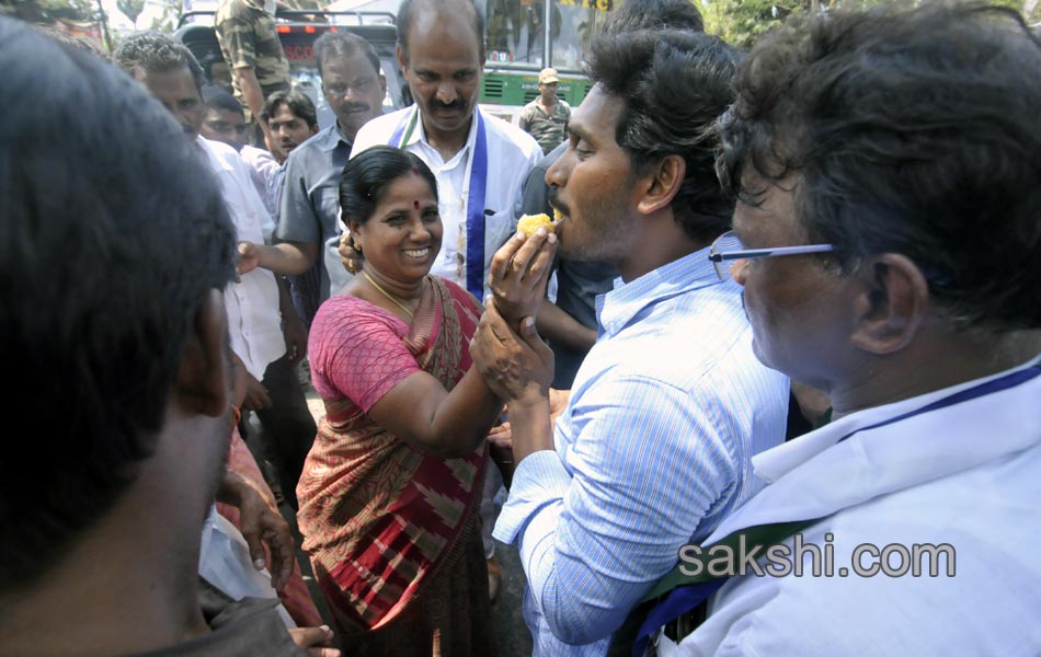 YCP election campaign meeting - Sakshi1