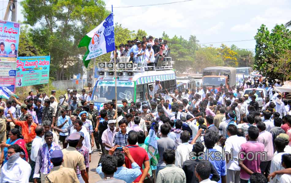 YCP election campaign meeting - Sakshi14