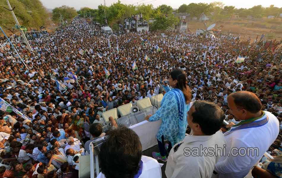 YCP election campaign meeting - Sakshi21