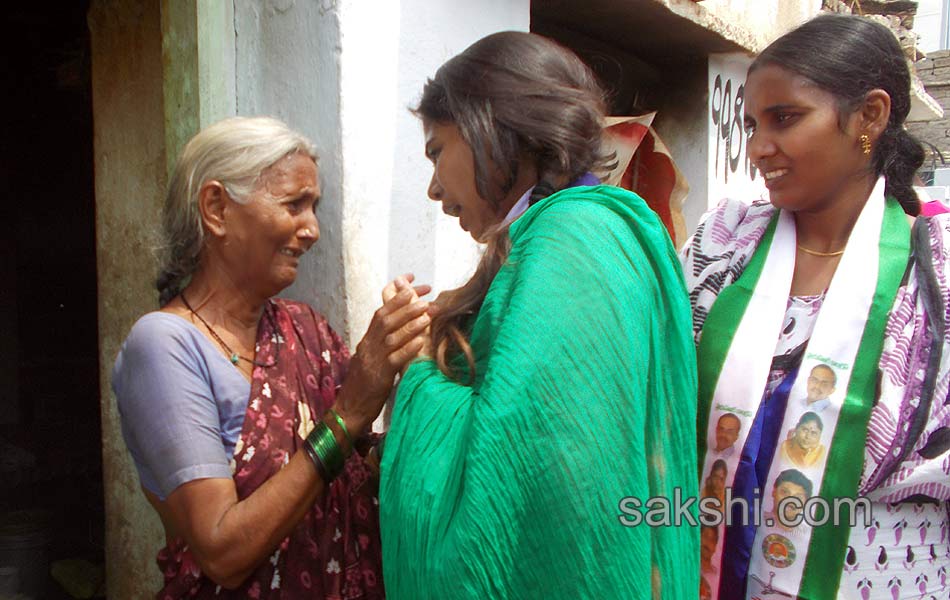 Bhooma family election campaign in allagadda - Sakshi14