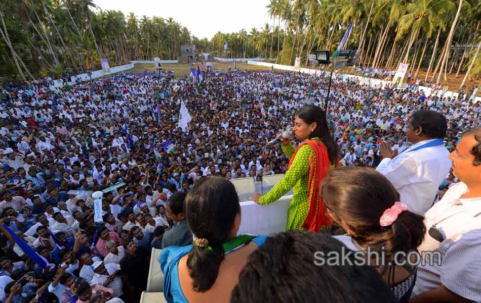 YSRCP Jana bheri election campaign Meetings - Sakshi28