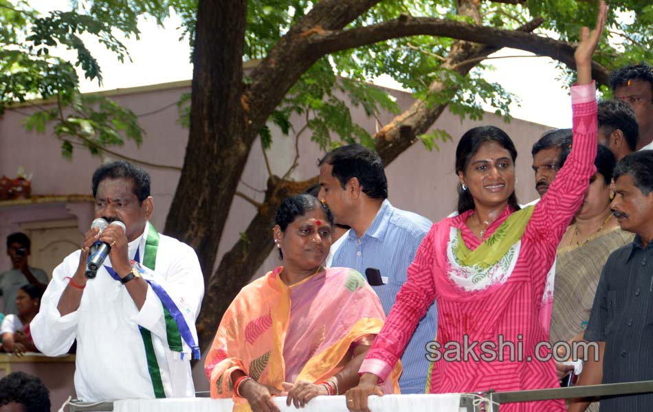 YSRCP Party leaders election campaign Meetings - Sakshi24