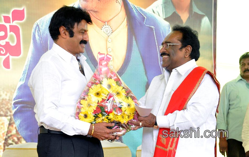 54th birthday celebrations of balayya - Sakshi6