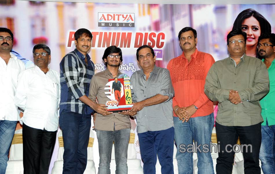 Loukyam Platinum disc function10