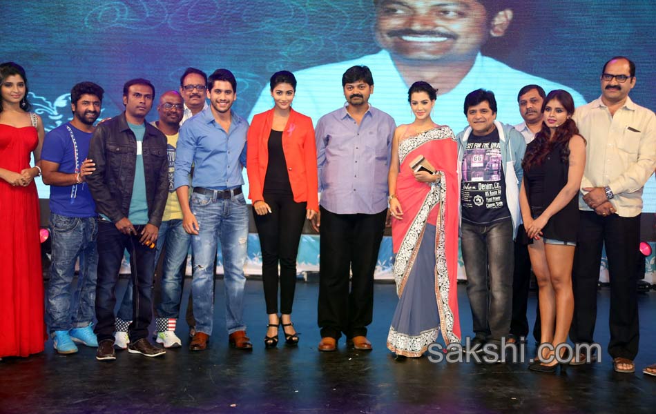 Oka Laila Kosam Audio Success Meet4