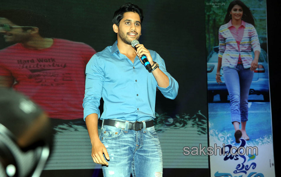 Oka Laila Kosam Audio Success Meet10