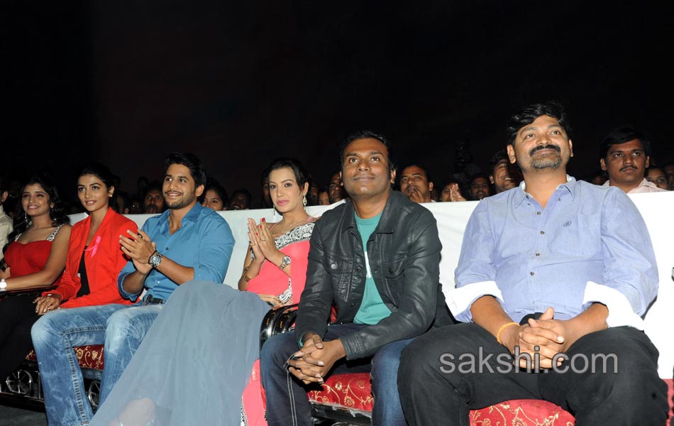 Oka Laila Kosam Audio Success Meet15