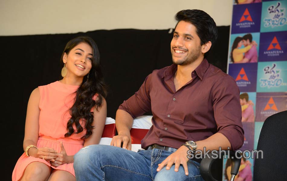 Oka Laila Kosam press meet9