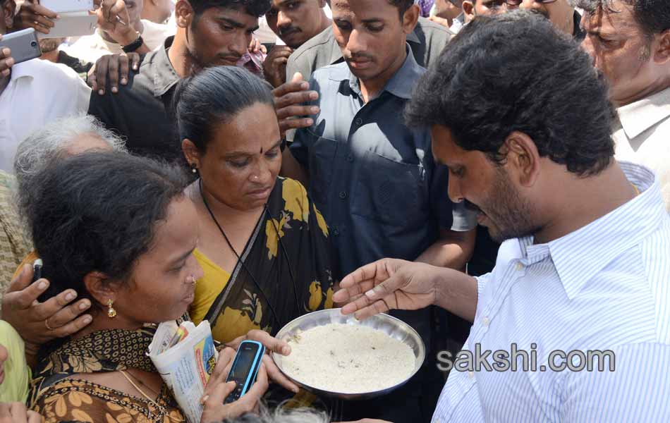 Y S jagan mohan reddy  to tour cyclone affected areas - Sakshi12