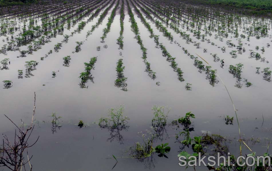 Heavy rains in guntur district - Sakshi7