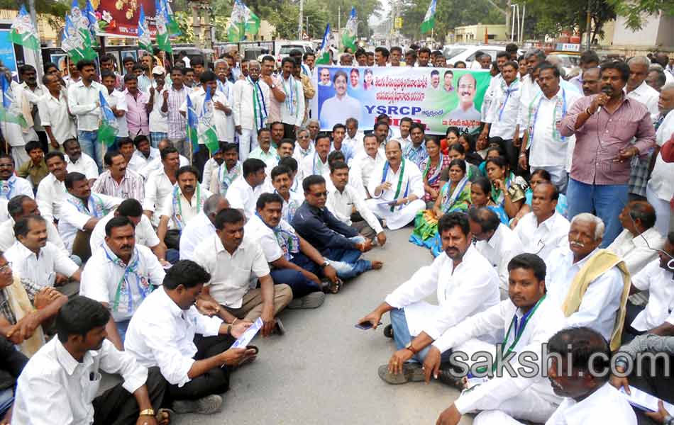 YSRCP porubata in andhra pradesh statewide - Sakshi24