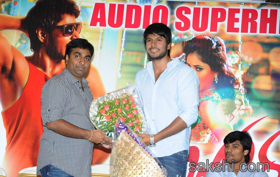 Joru Movie Platinum Disc Function - Sakshi13