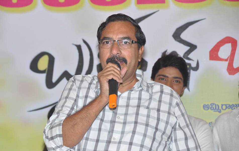 Brother Of Bommali Success Meet16