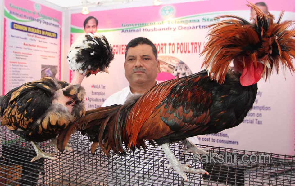 poultry india 2014 - Sakshi6