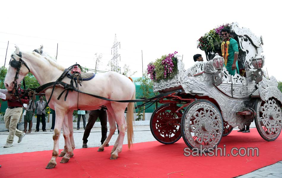 Hero Aadi Wedding Photos - Sakshi13