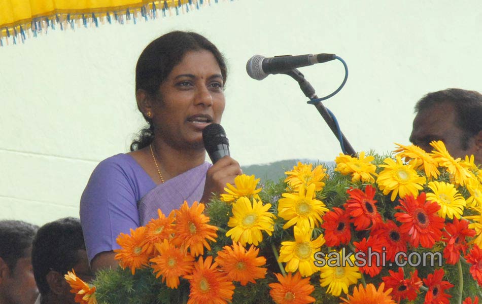 flamingo festival in Nellore district3