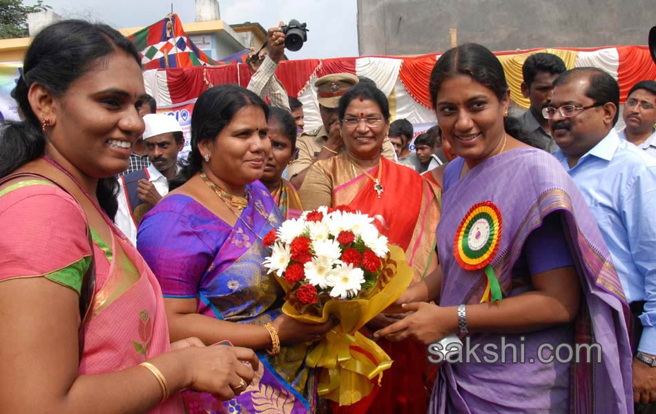 flamingo festival in Nellore district5