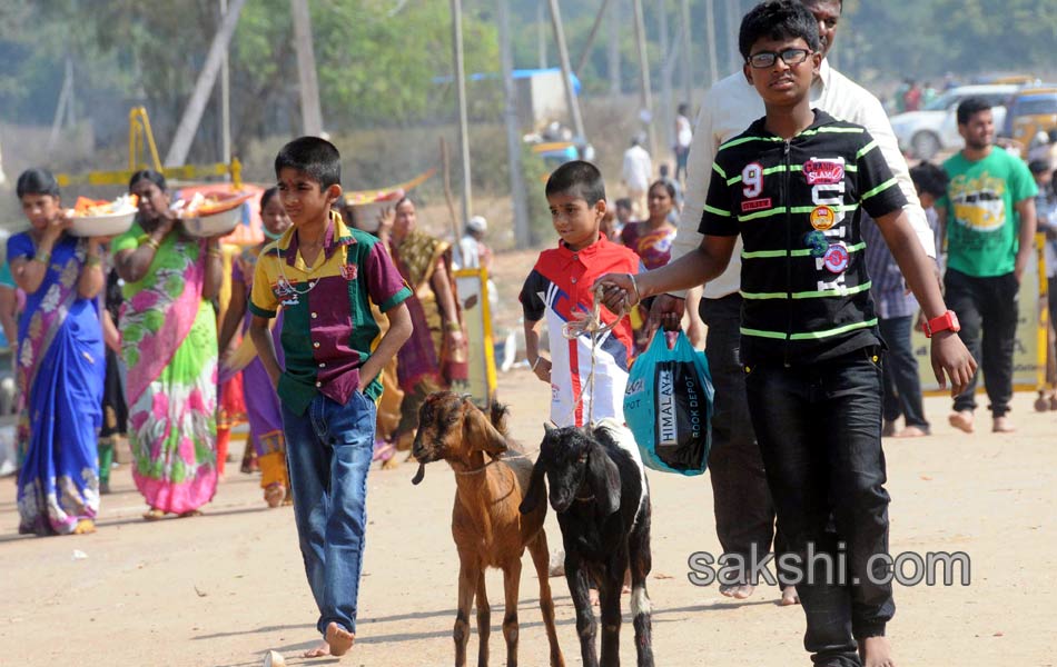 sammakka saralamma mini jathara in Medaram12