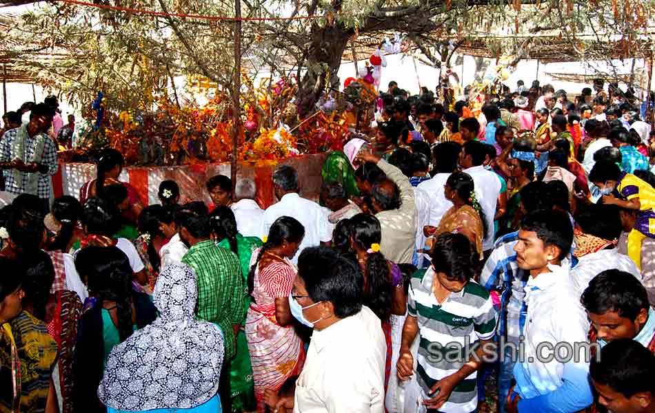 Pedda Gattu Jatara in Nalgonda - Sakshi15