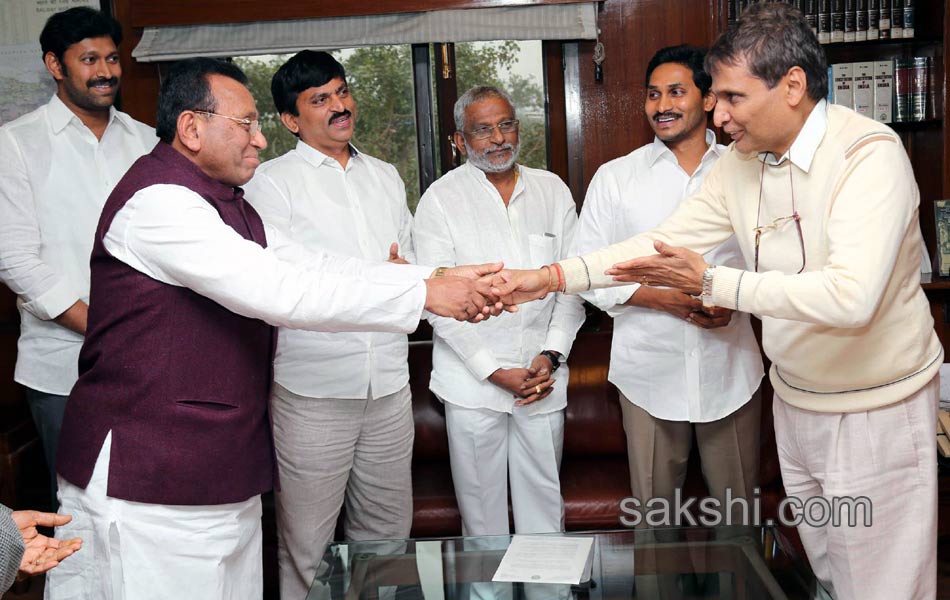 ys jagan meets central railway minister6