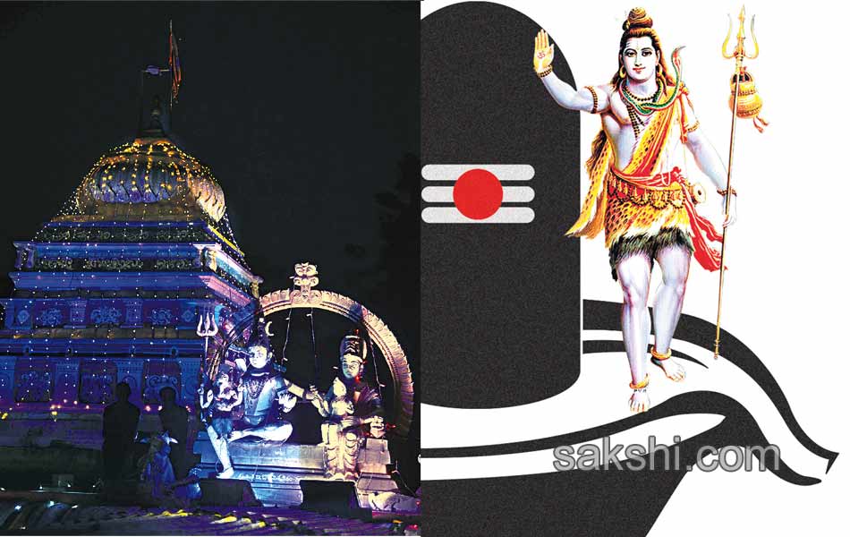 Temples decorated for Maha Shivaratri - Sakshi4