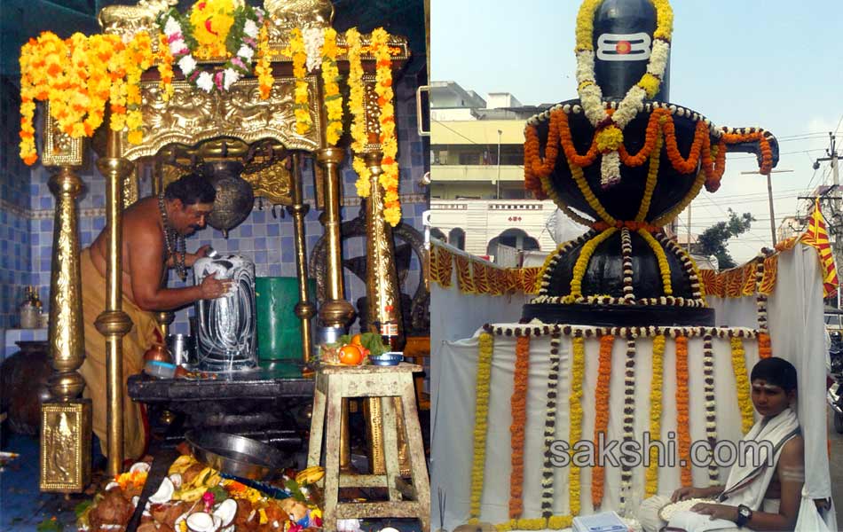 maha shivaratri festival in andhra pradesh - Sakshi23