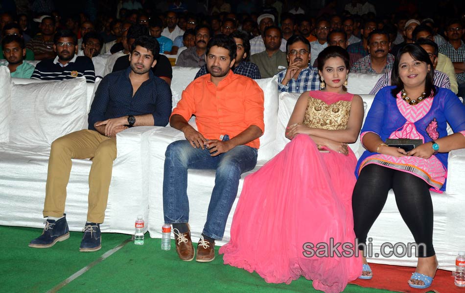 Tungabhadra Movie Audio Launch7