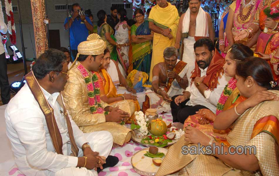 Kotam Reddy Sridhar Reddy daughter marriage - Sakshi12