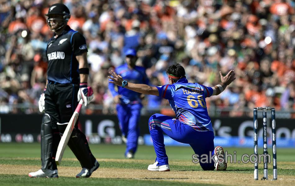 aghanistan vs newzealand match - Sakshi14