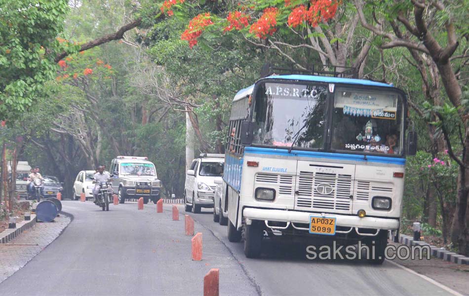 fire accidnet Tirumala Forest8