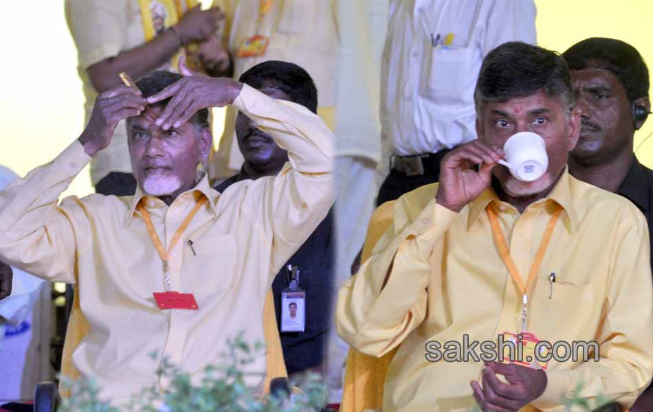 second day TDP Mahanadu - Sakshi10