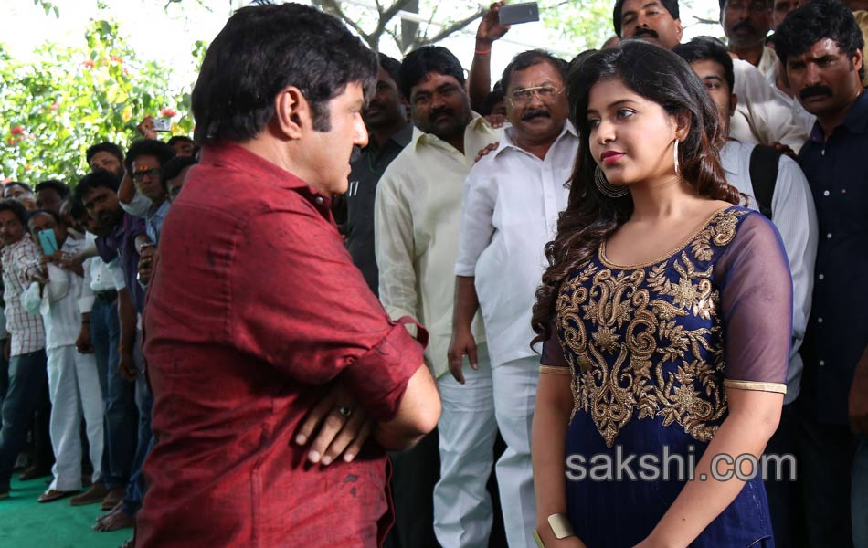 balakrishna 99 movie opening - Sakshi11