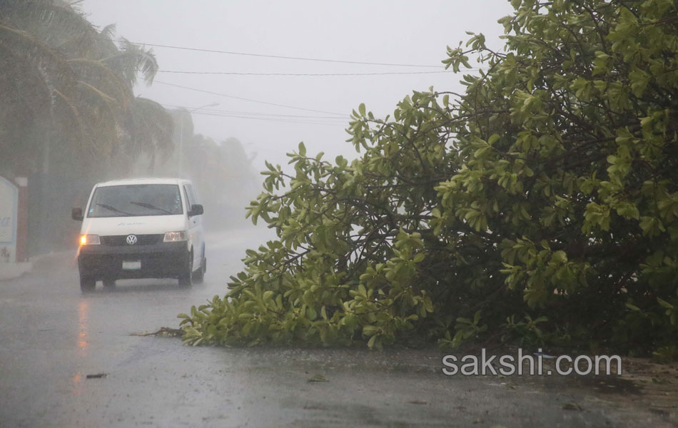 MEXICO WEATHER STORM CARLOS18