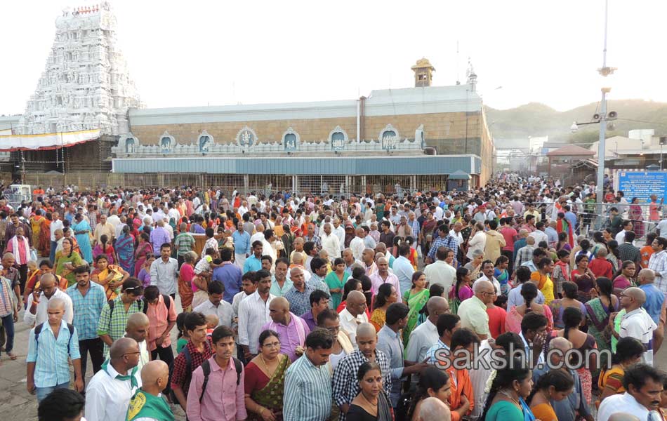 minor stampede in tirumala several injured8