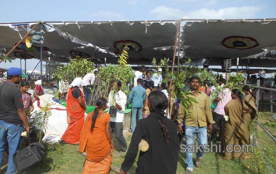 haritha haram in karimnagar3