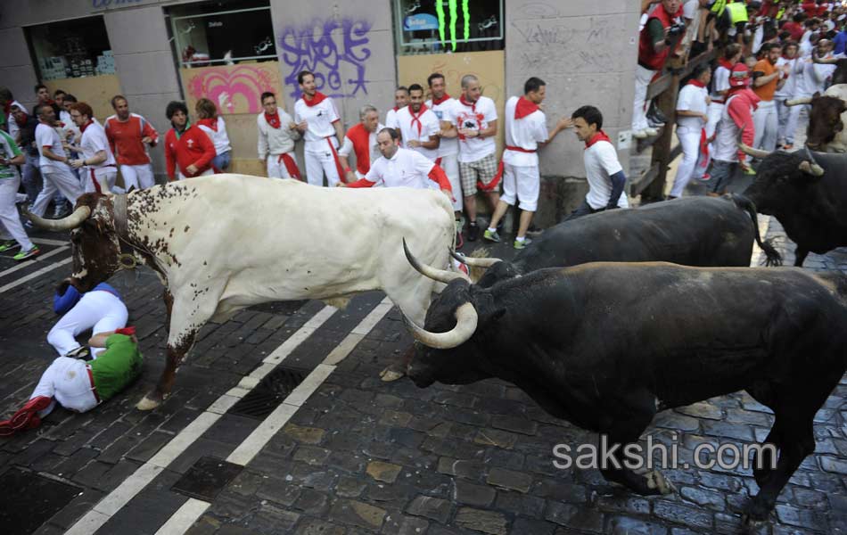 bull run in spain3