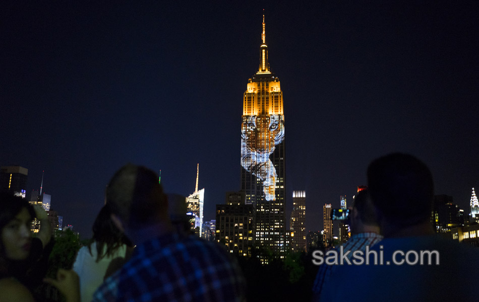 Empire State Building Endangered Species - Sakshi5