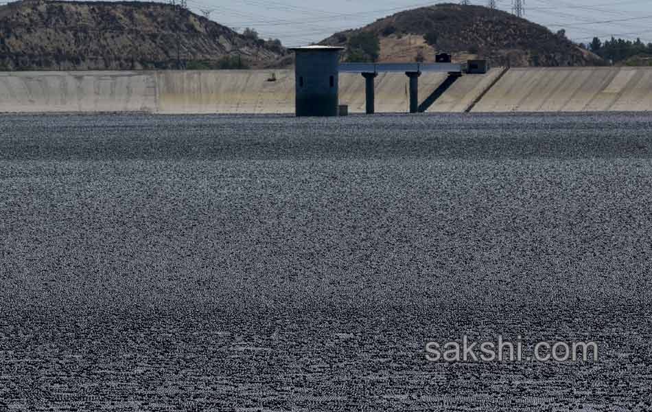 plastic balls threwn in to Reservoirs to save water in usa - Sakshi9