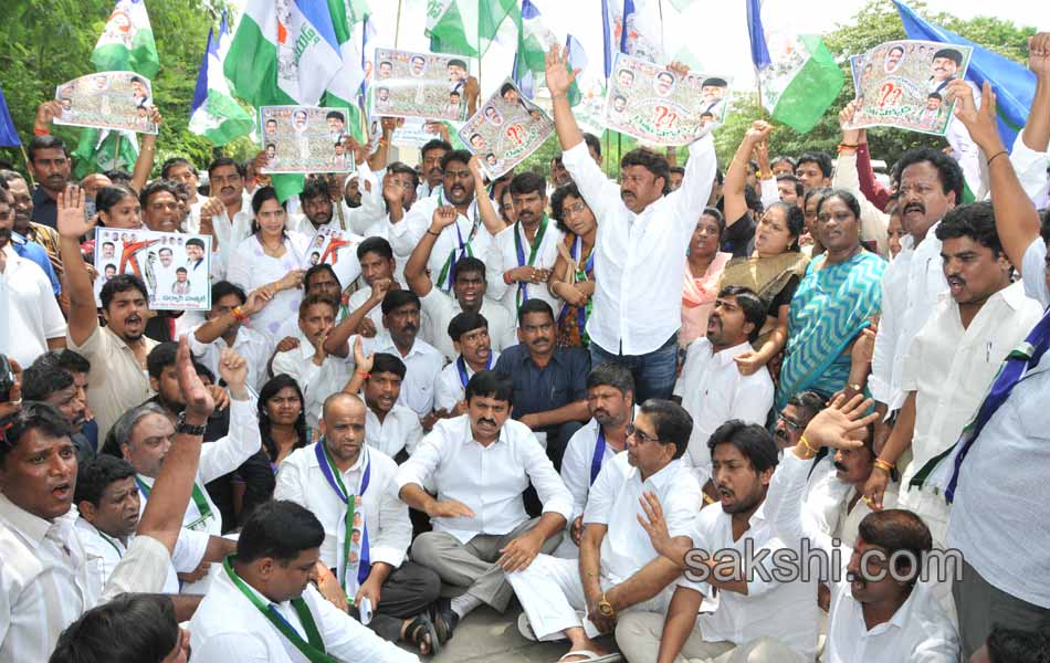 YSR congress dharna - Sakshi8