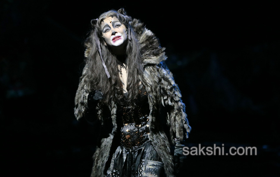 Paris musical Cats1