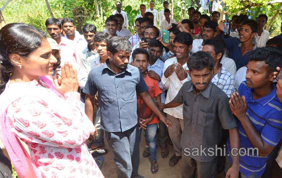 YS sharmila paramarsha yatra in nizamabad district10