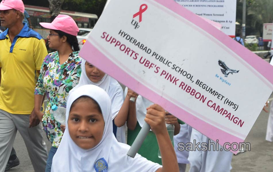 Pink Ribbon Walk1