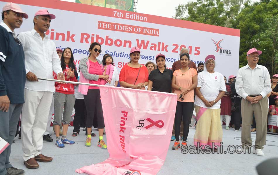 Pink Ribbon Walk9