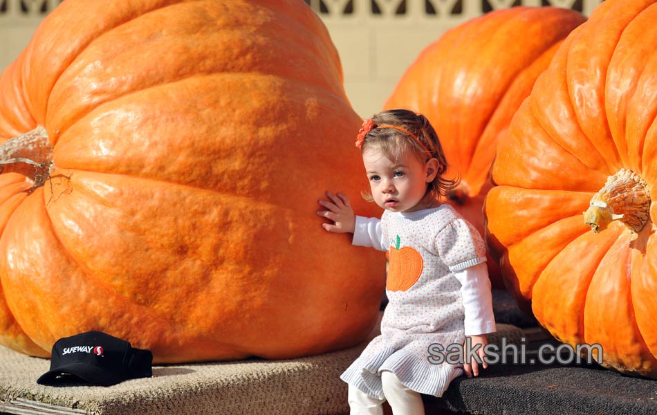 pumpkin weighing5