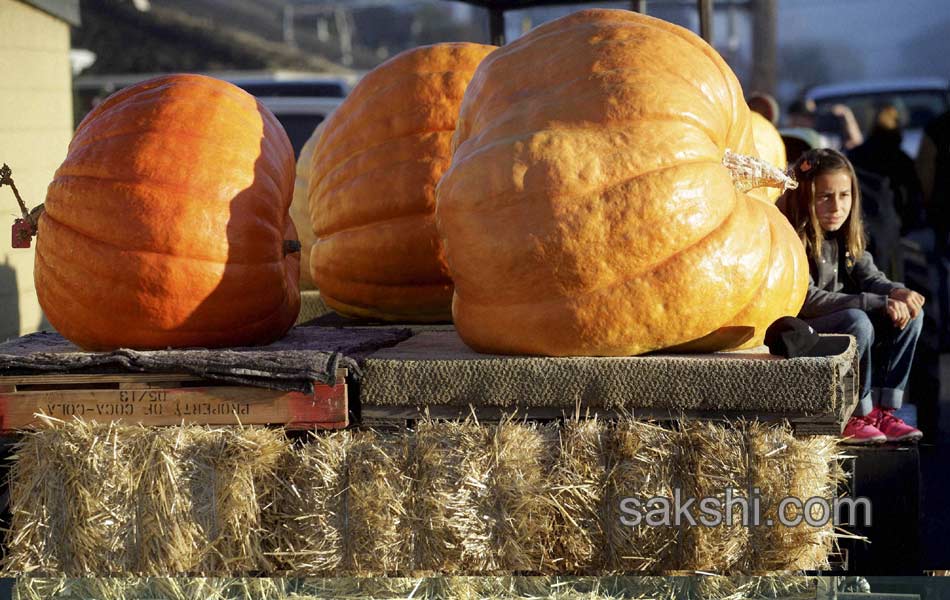 pumpkin weighing9